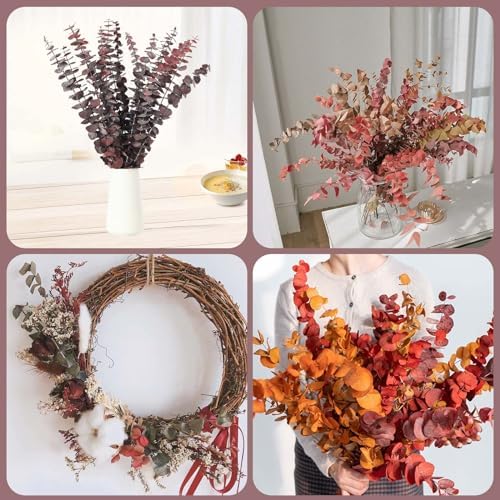 16 Pcs Preserved Eucalyptus Stems for Home Spa Decor