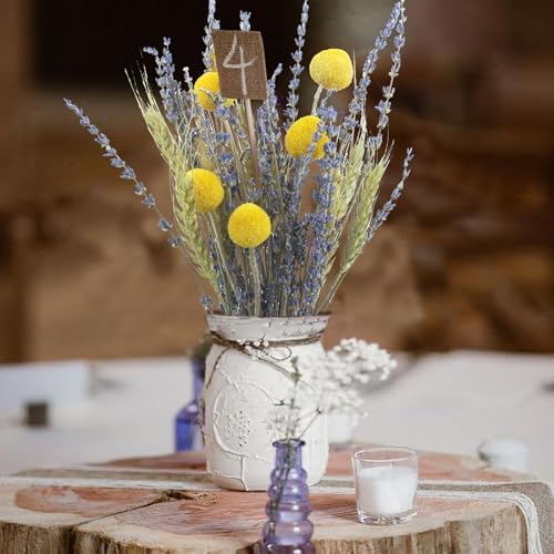 CISDUEO Natural Dried Flower Bouquet with Wheat Stalks and Lavender