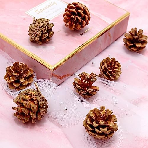 166Pcs Fall Thanksgiving Decor Set
