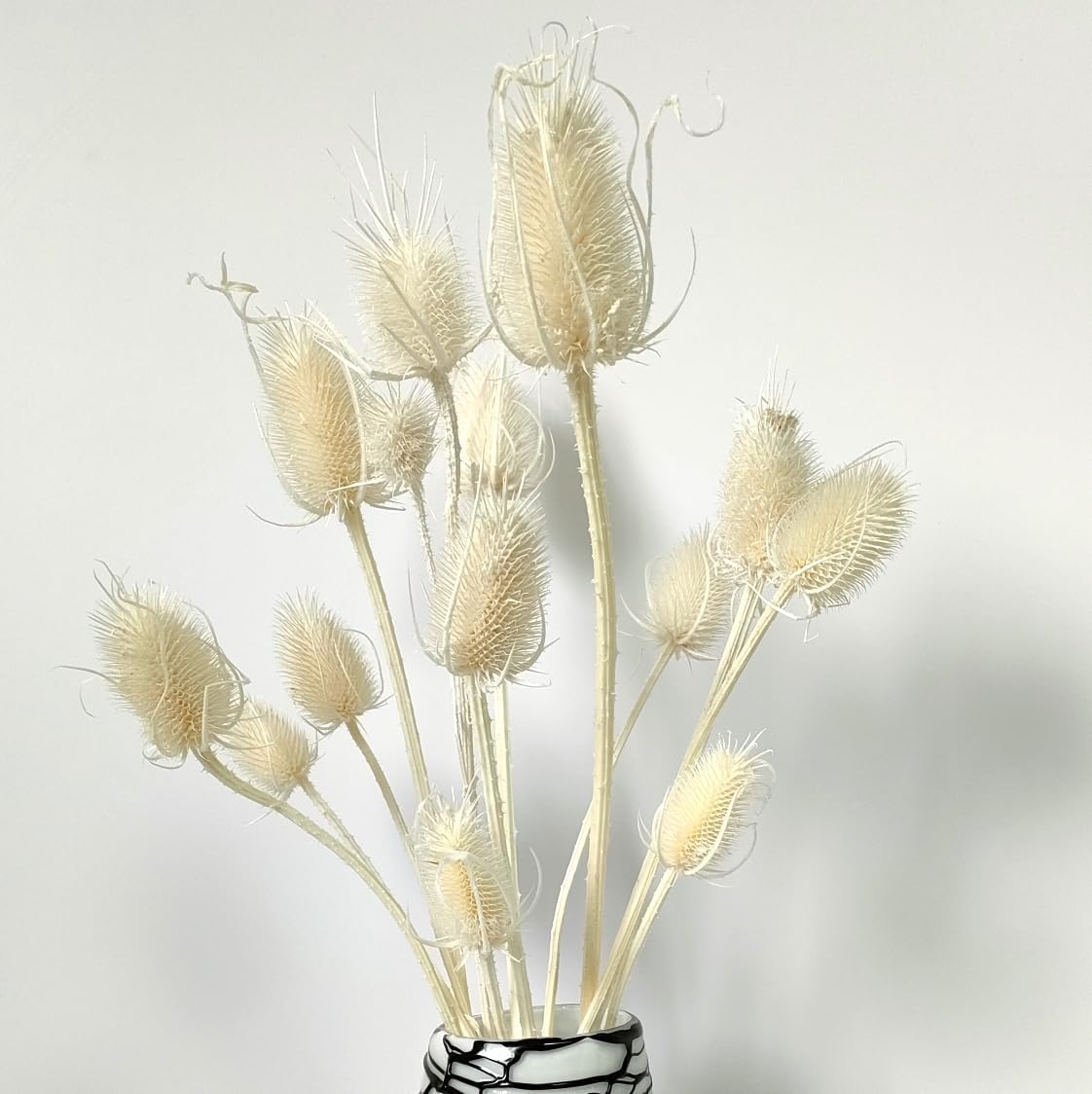 White Dried Thistle Flowers for DIY Decor Filler