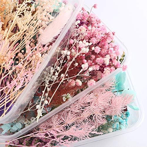 Sorrento Crafts Dried Flowers for DIY Decor Projects