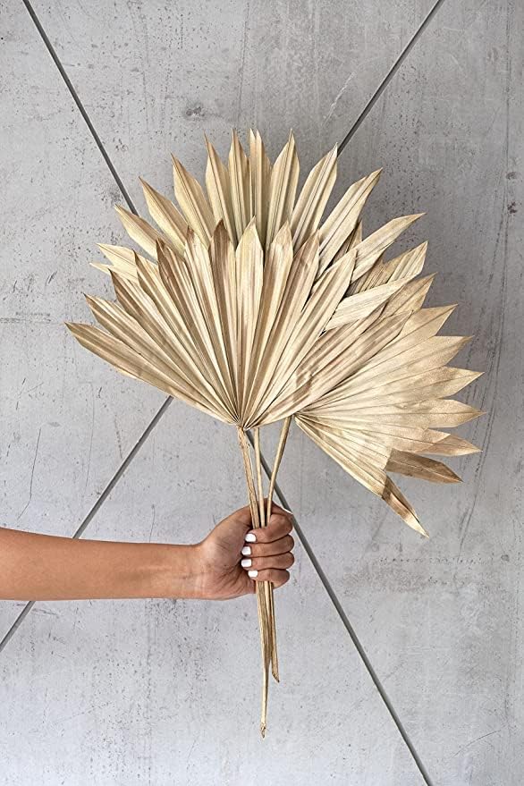 ROYAL SAPPHIRE Golden Dried Palm Leaves 5 Pieces Wedding Decor