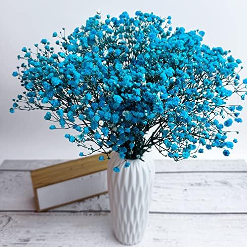 Preserved Babys Breath Flower Bunches Light Blue 3-Pack 12 Inches Tall
