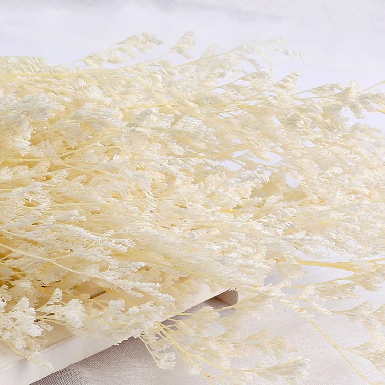 Bleached Preserved Limonium Artificial Flowers