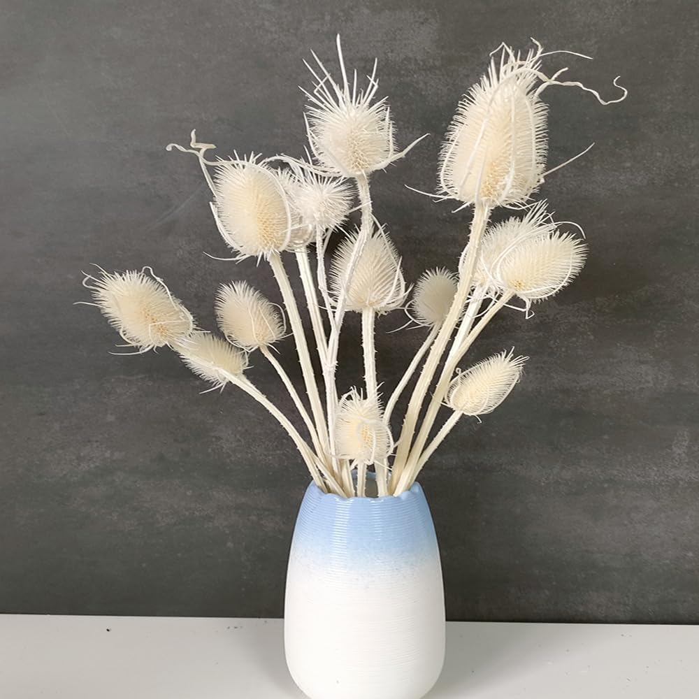 White Dried Thistle Flowers for DIY Decor Filler