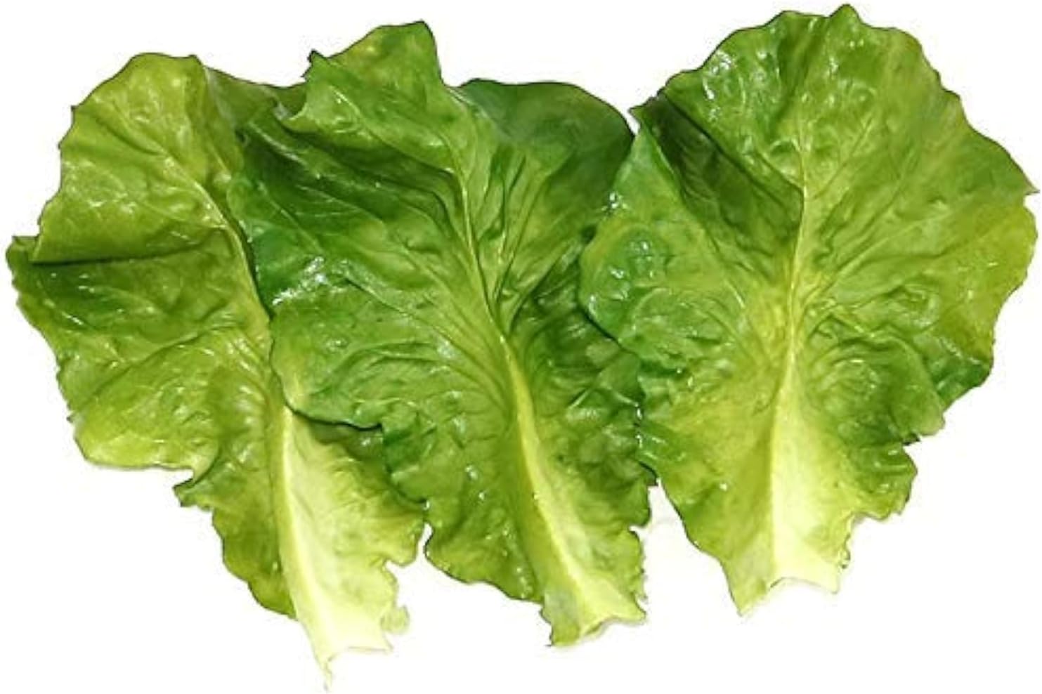 10Pcs Artificial Lettuce Leaves for Home Party Kitchen Decor