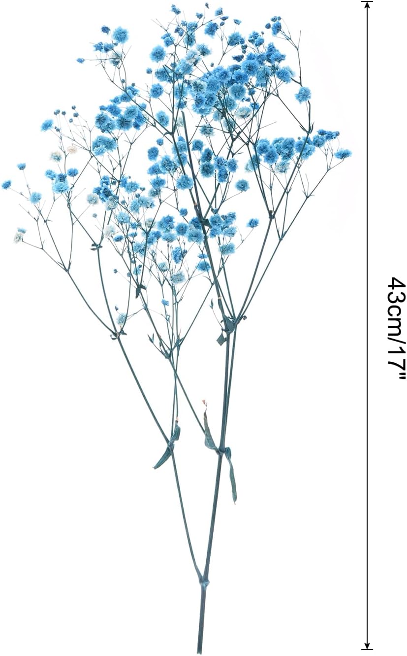 MECCANIXITY Artificial Dried Babys Breath Flowers 17 Inch Blue 3 Pcs