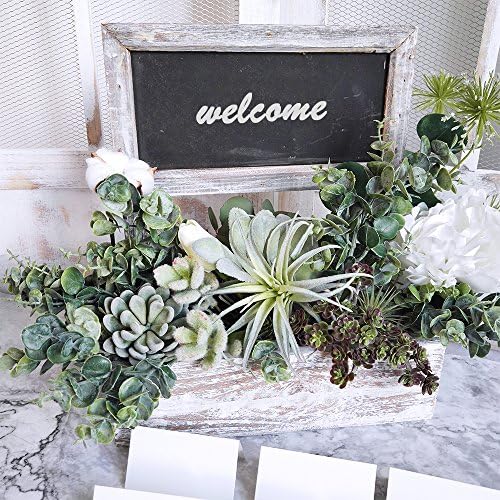 Supla 3 Pcs Realistic Grey Green Eucalyptus Bushes