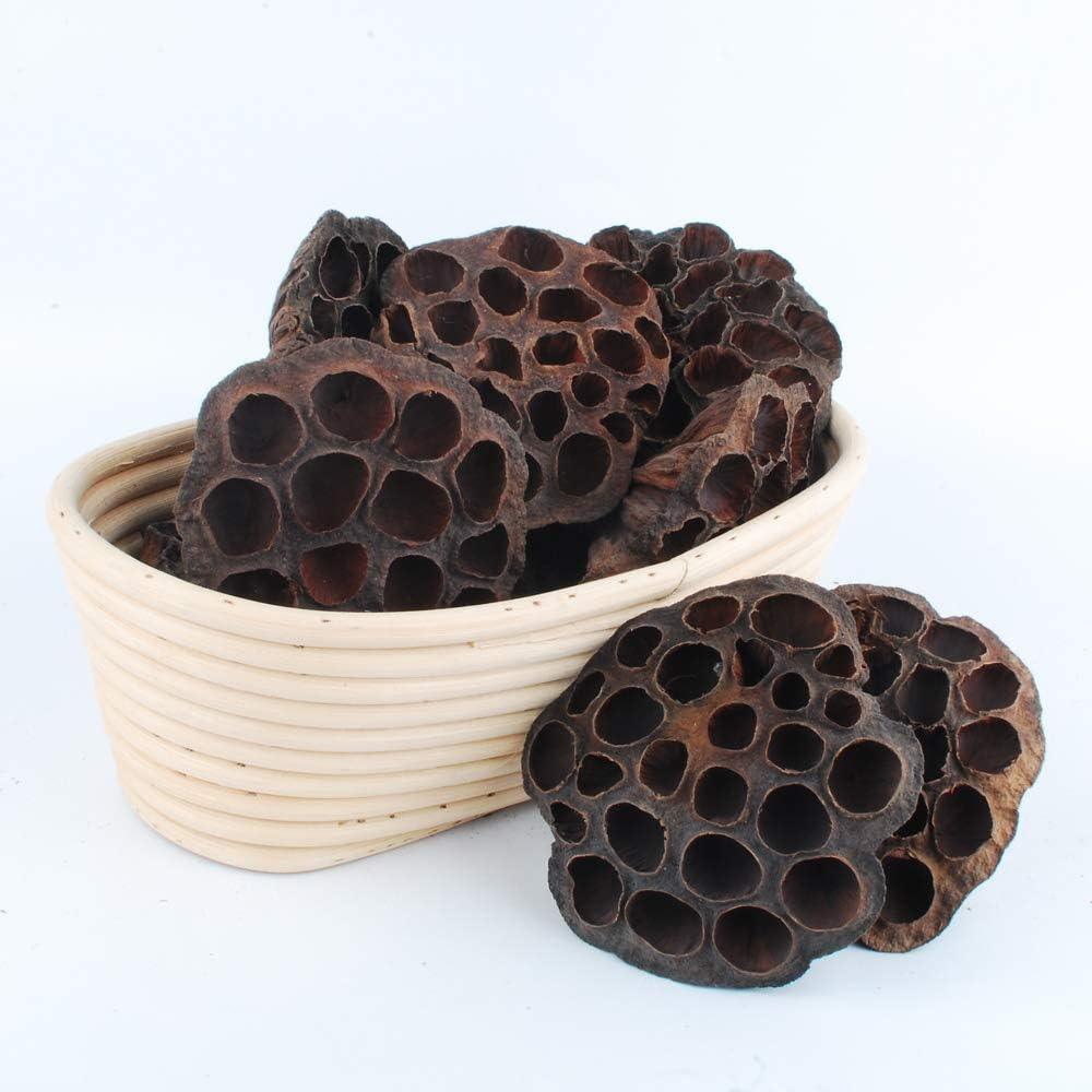 NWFashion 10pcs Artificial Dried Brown Lotus Pods Decoration