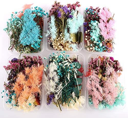Sorrento Crafts Dried Flowers for DIY Decor Projects