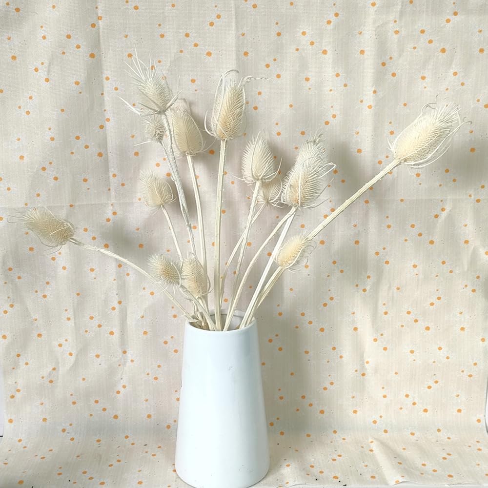 White Dried Thistle Flowers for DIY Decor Filler