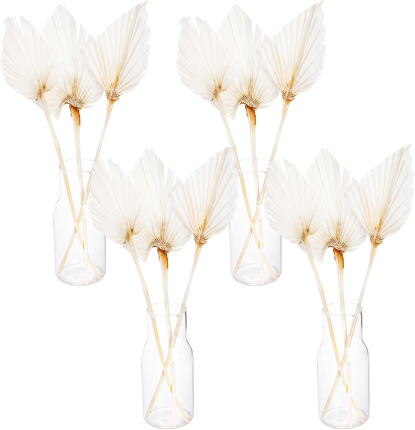AVLA 12 Pack Boho Dried Palm Leaves with Stem