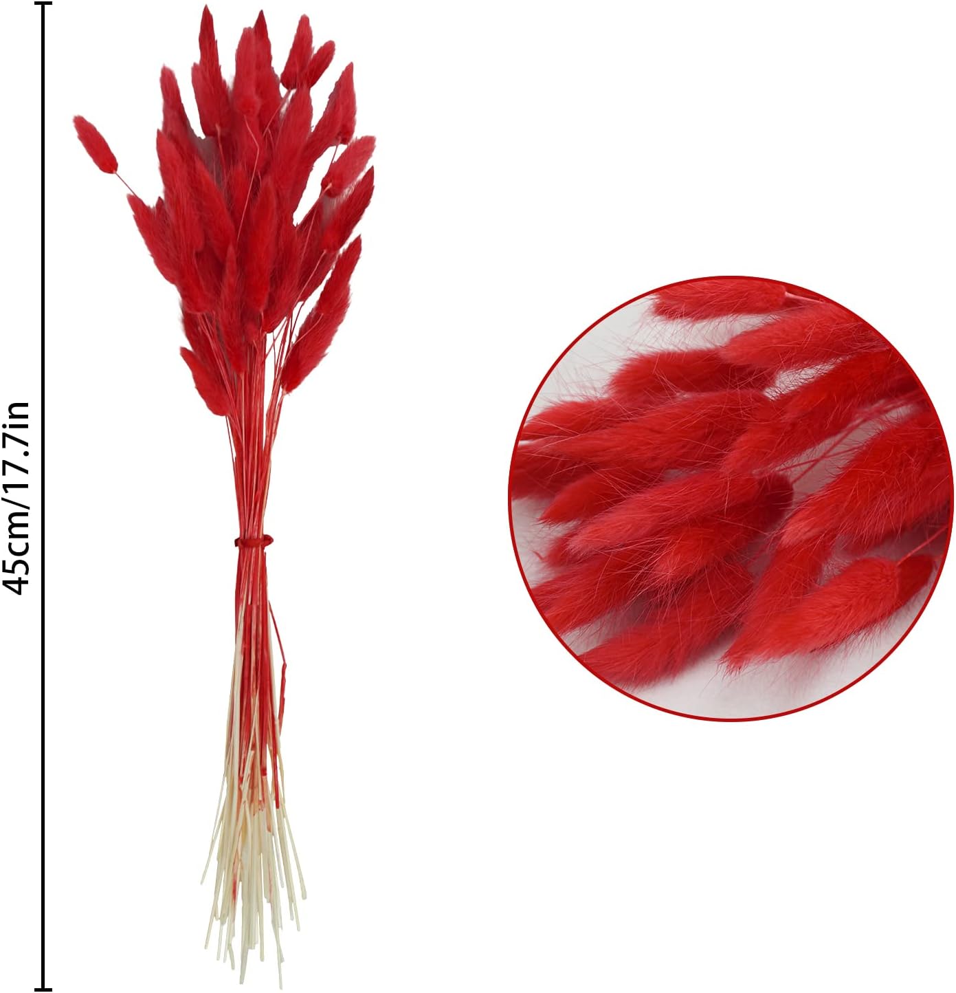 Uieke 17 Inch Natural Bunny Tails Dried Flowers 50 Pcs