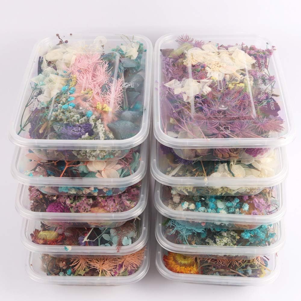 Sorrento Crafts Dried Flowers for DIY Decor Projects