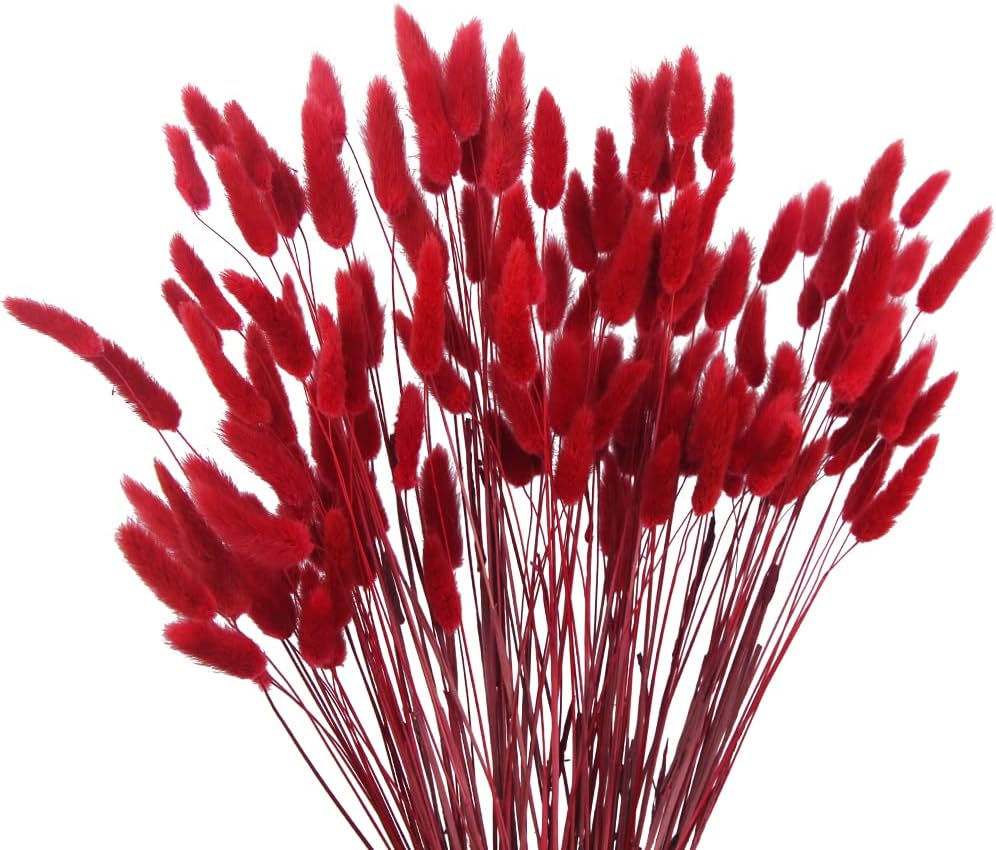 CISDUEO 120pcs Dried Red Bunny Tail Flowers