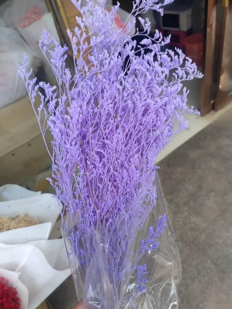 Lavender Purple Limonium Preserved Flower Bunch