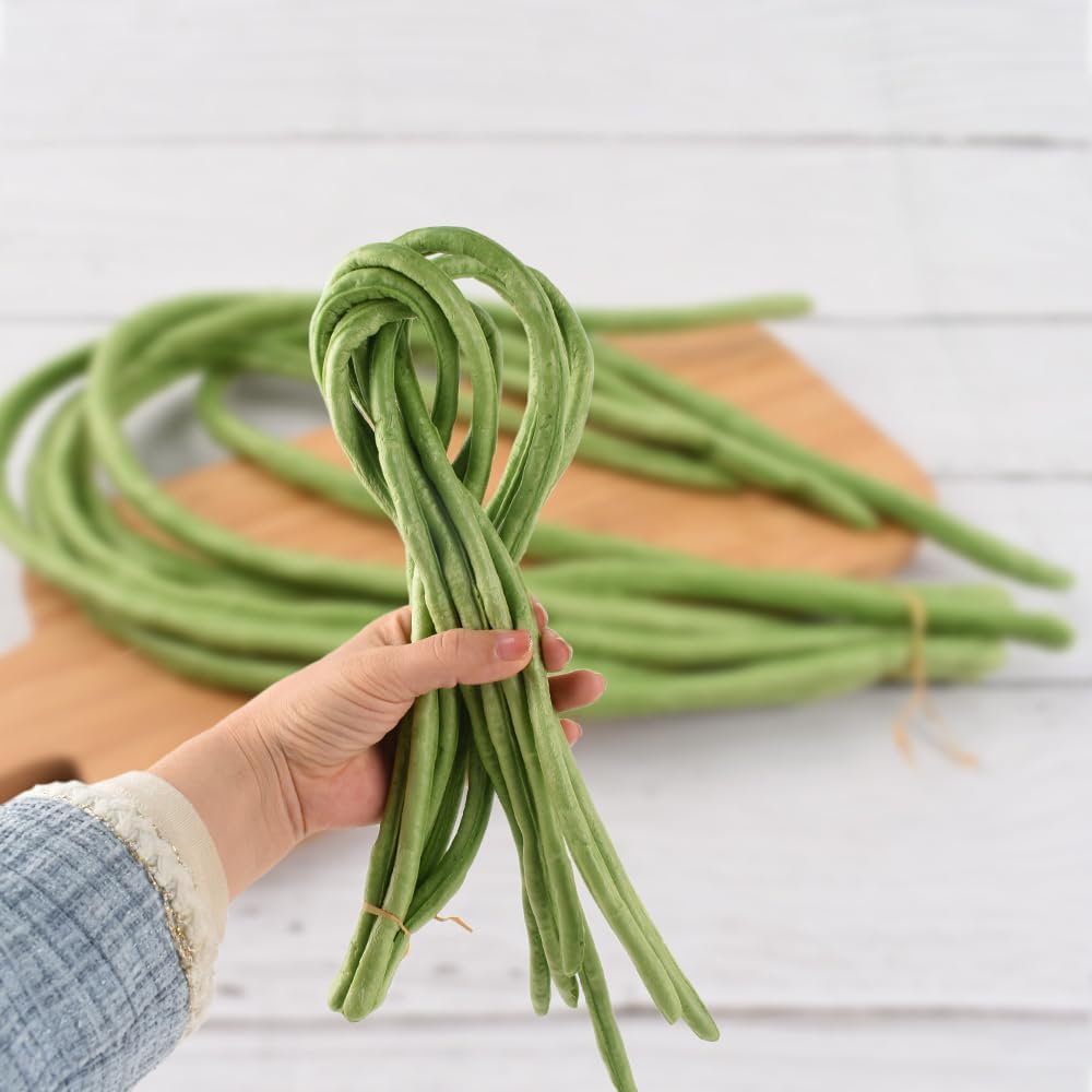 HUIANER Artificial Green Long Beans 6pcs Decor Display Props