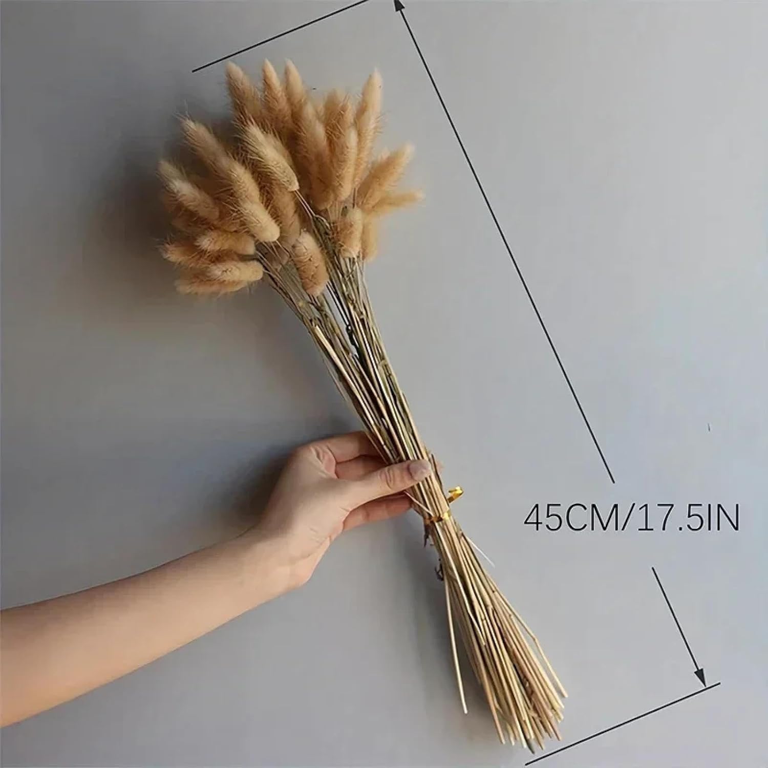 Dried Flower Bunny Tails 60 Pcs Artificial Plants Home Decor