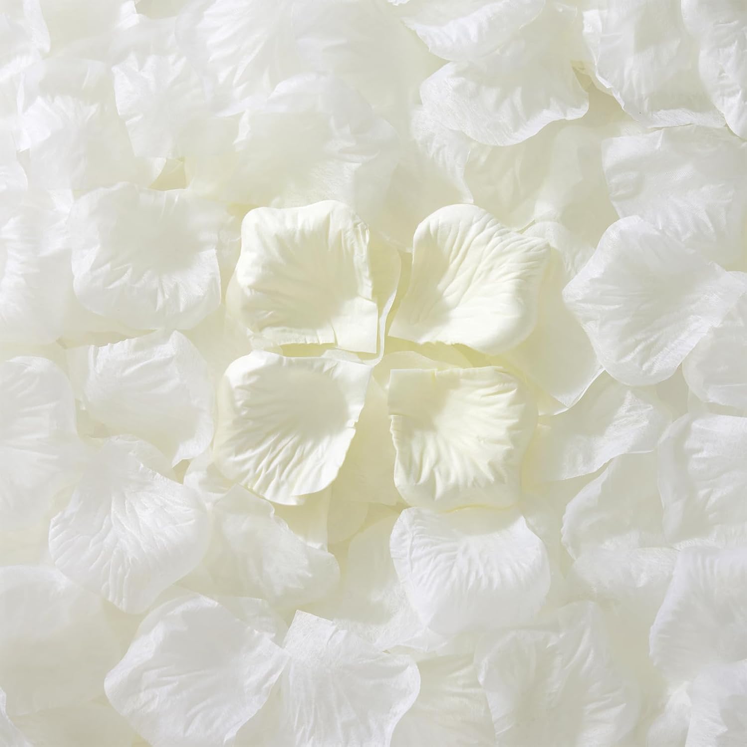1500Pcs Real Dried Ivory White Hydrangea Petals