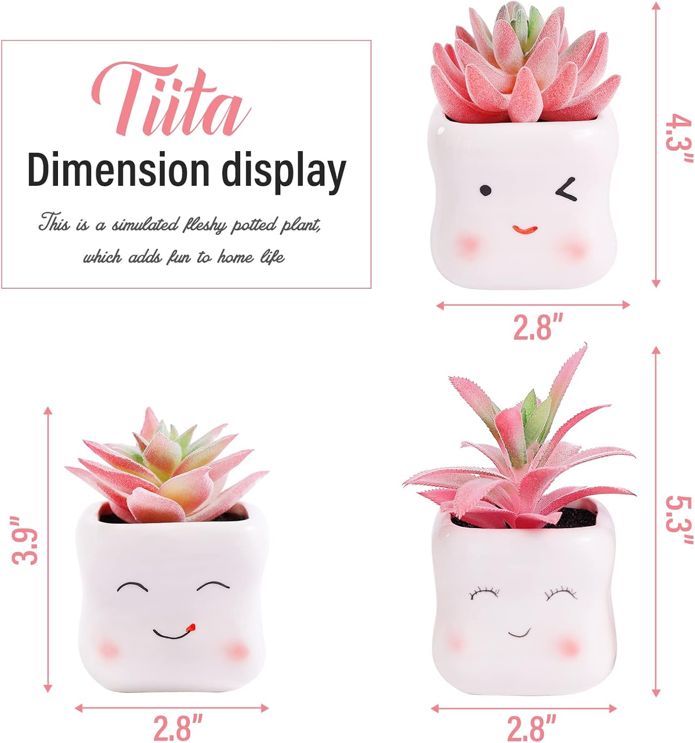 Tiita Cute Artificial Succulents in Ceramic Pots