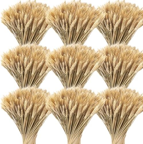 Geosar 600 Stems Dried Wheat Stalks Decor Bundle