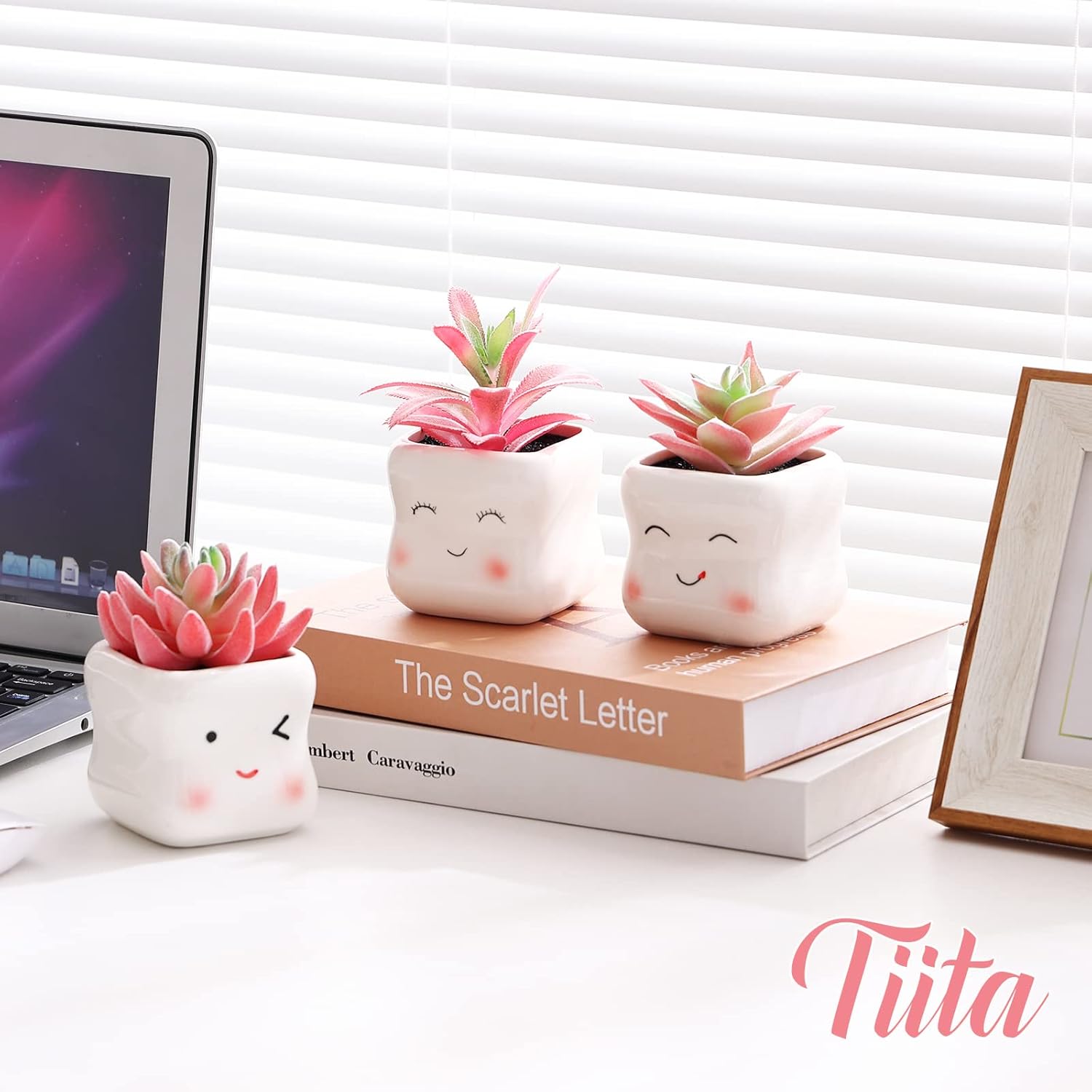 Tiita Cute Artificial Succulents in Ceramic Pots