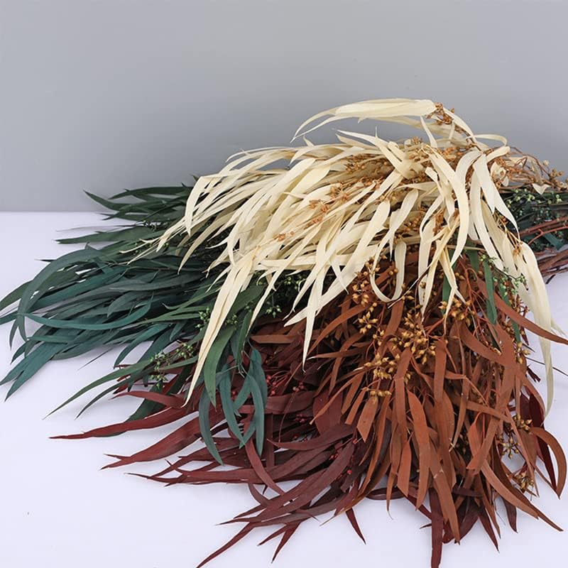 Natural Preserved Eucalyptus Leaves for Wedding and Home Decor