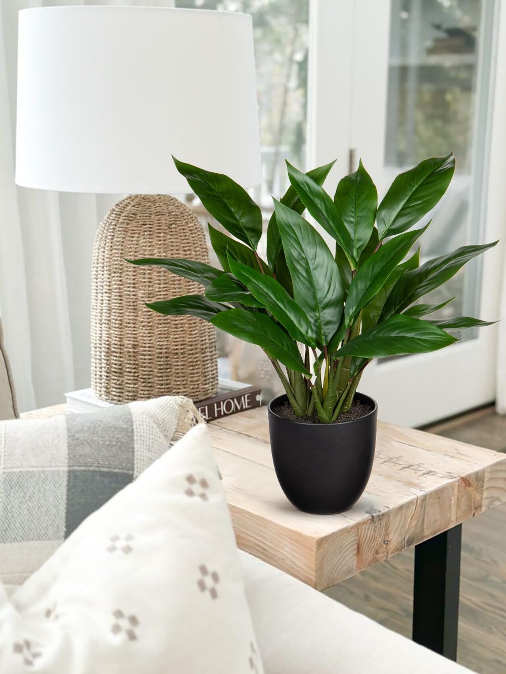 17 Inch Artificial Cast Iron Plant With Pot