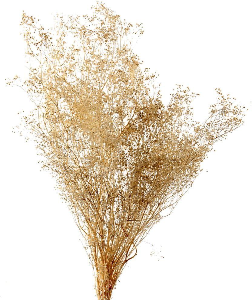 3 Bundles Dried Babys Breath Flowers