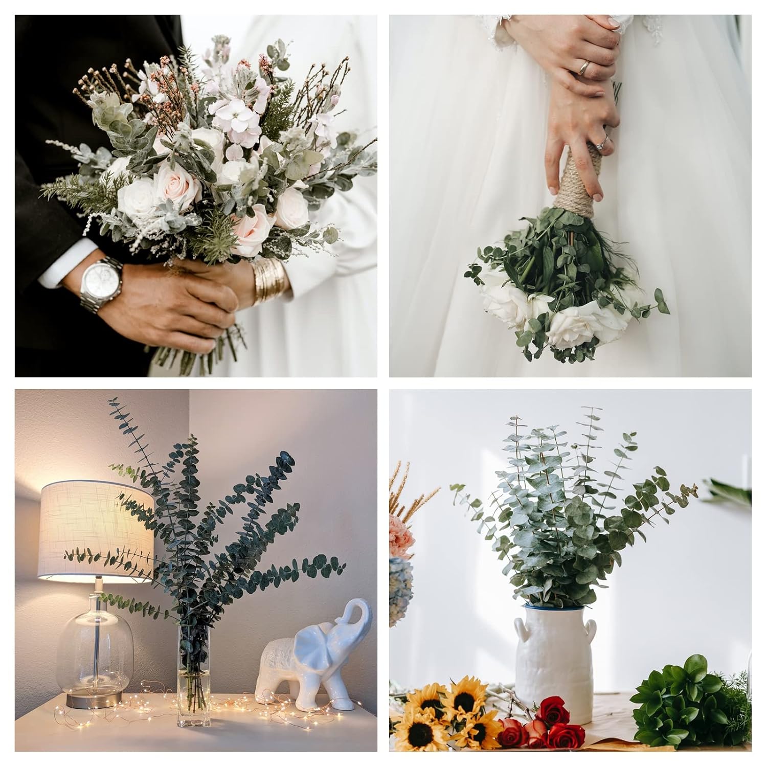 30PCS Dried Preserved Eucalyptus Plants for Decor