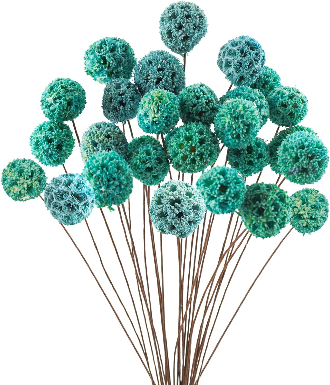24 PCS Dried Billy Balls Flowers Bouquet Blue