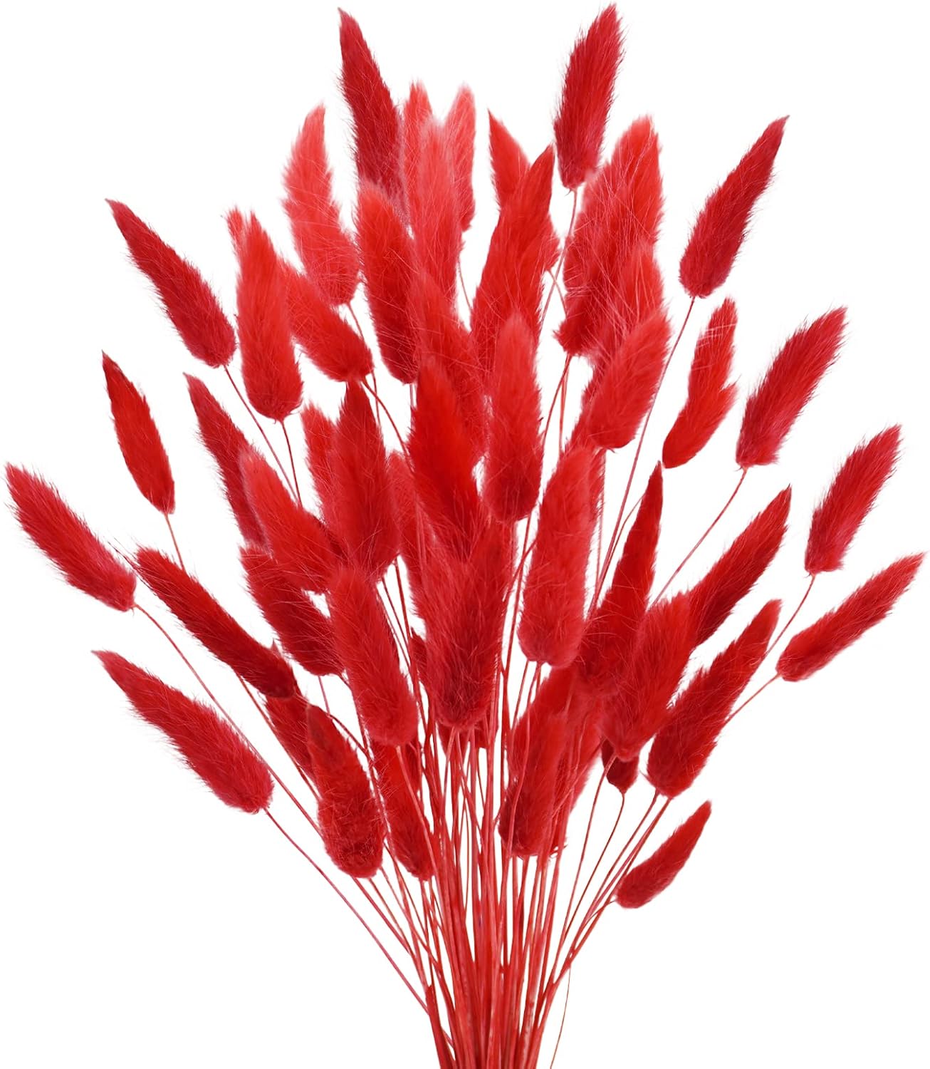 Uieke 17 Inch Natural Bunny Tails Dried Flowers 50 Pcs