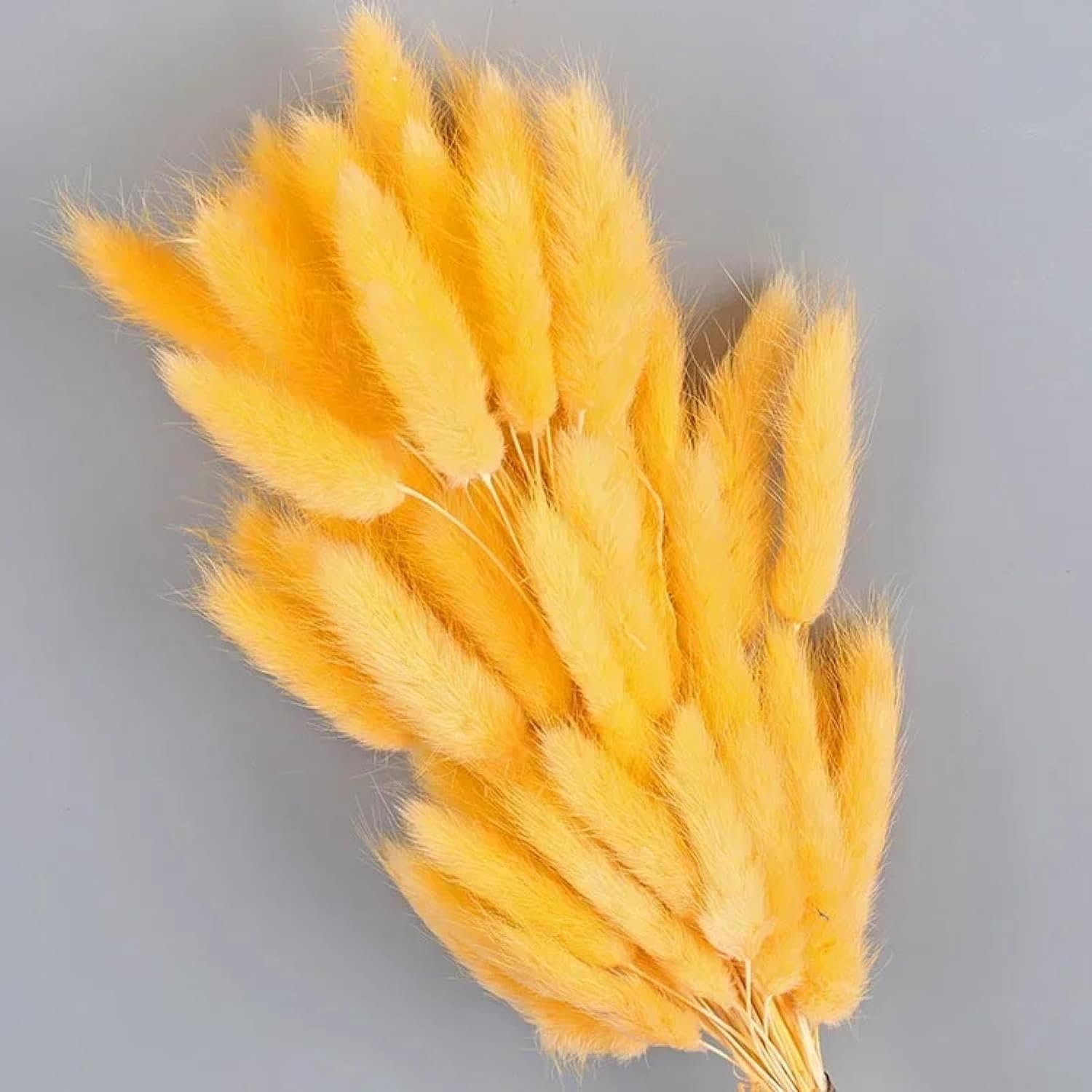 Dried Flower Bunny Tails 60 Pcs Artificial Plants Home Decor