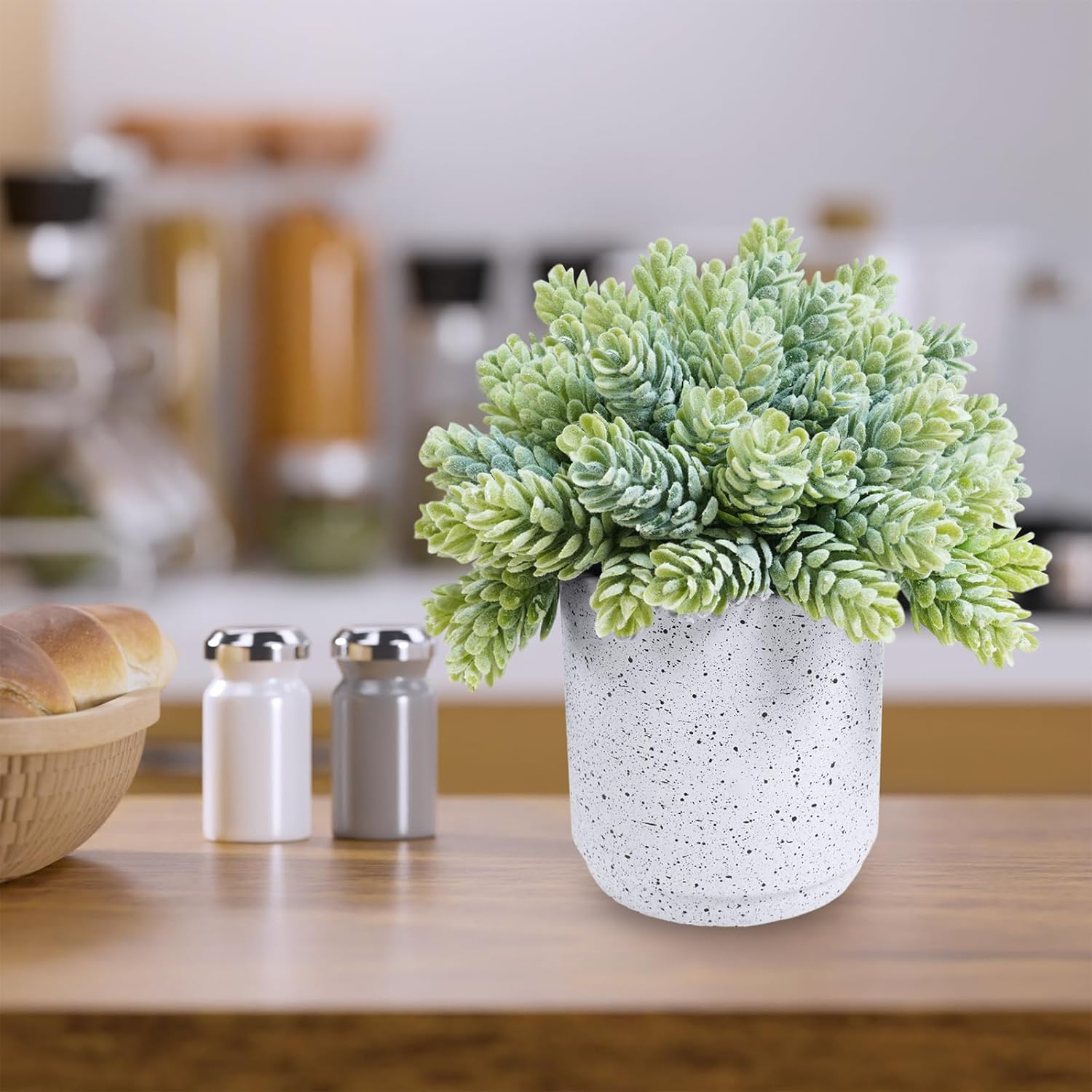 Winlyn Set of 3 Artificial Succulent Plants in White Cement Pots