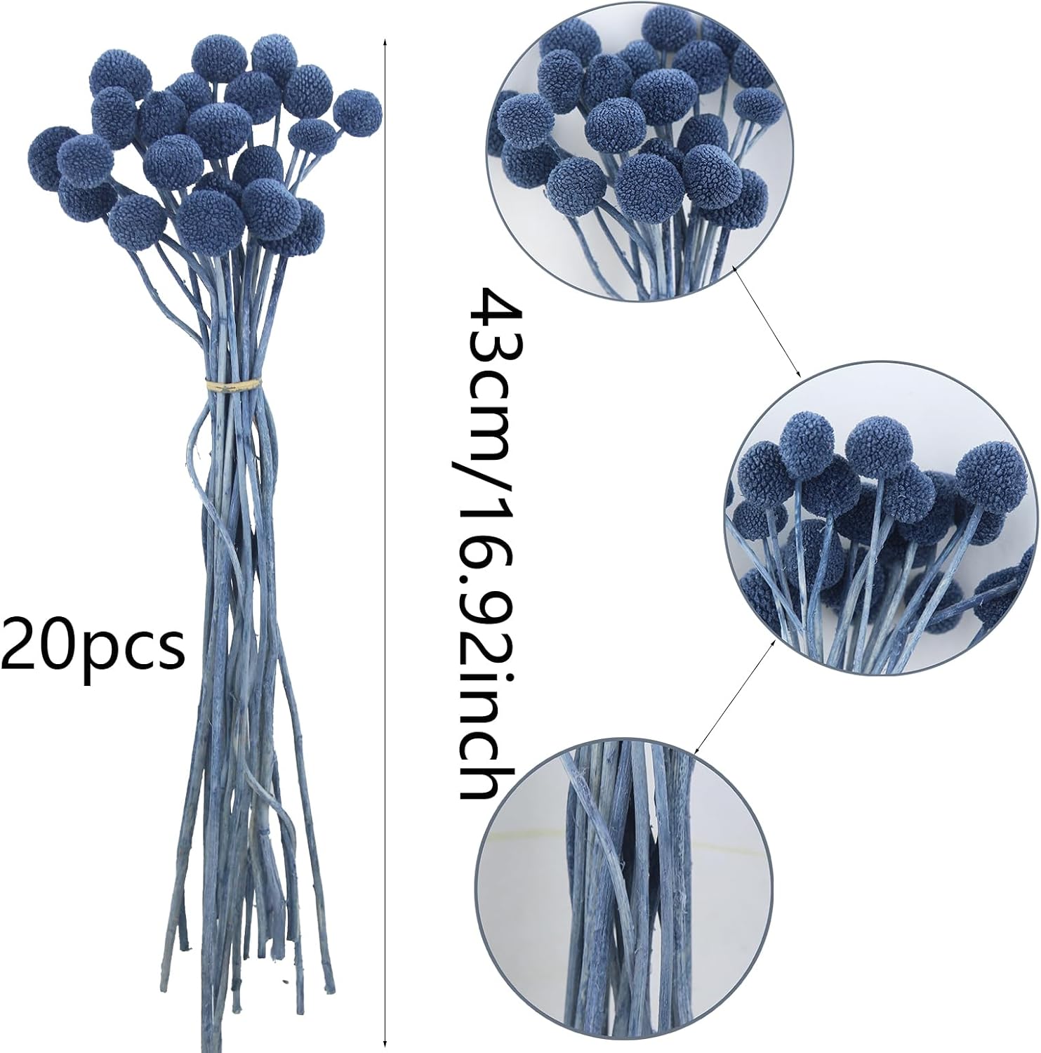 CISDUEO 20 Pcs Dried Billy Balls Blue Flowers Bouquet Decor