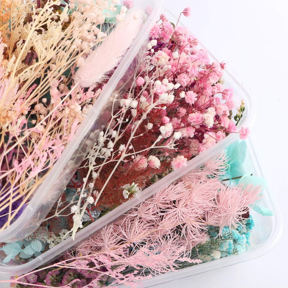 Sorrento Crafts Dried Flowers for DIY Decor Projects