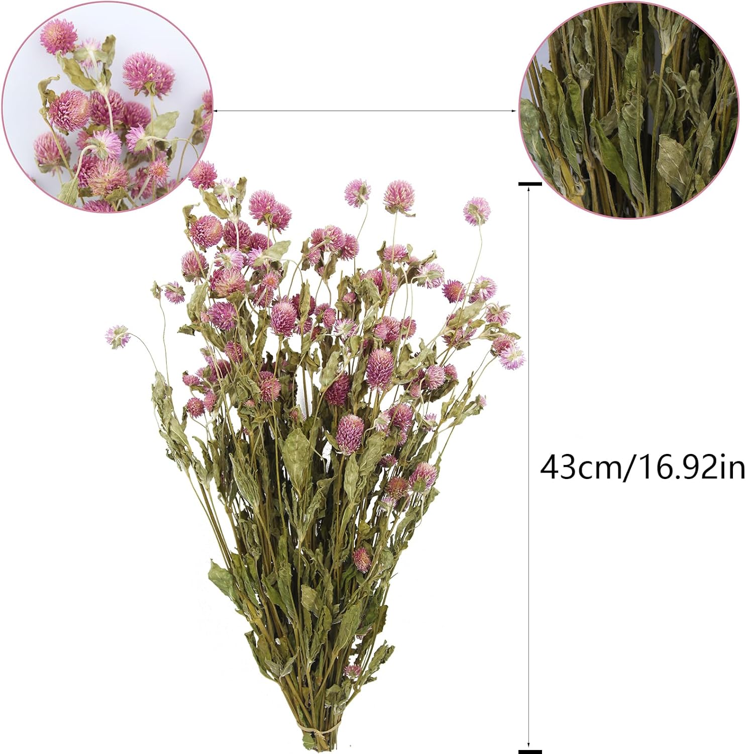 CISDUEO Dried Pink Globe Amaranth Flowers Bouquet