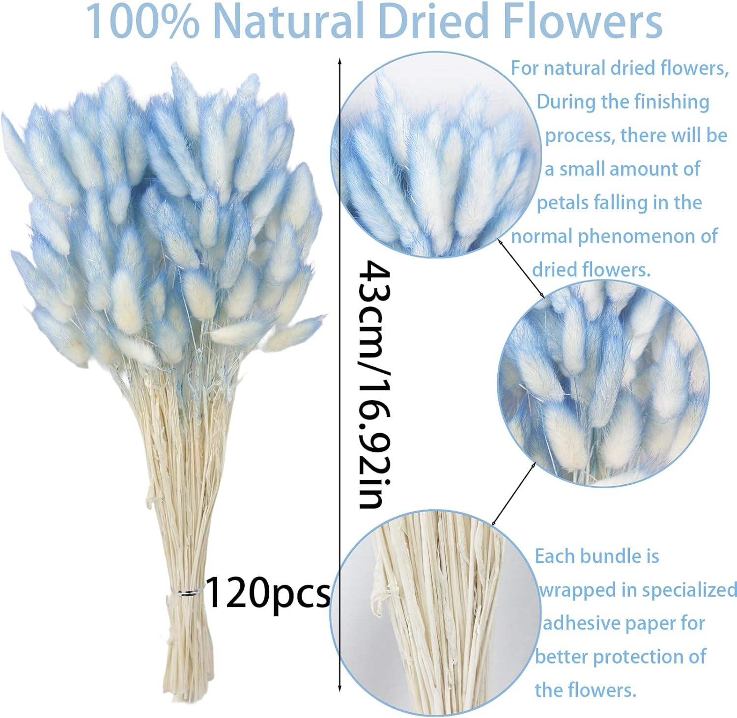 120 Pcs Blue Dried Bunny Tails Floral Decor