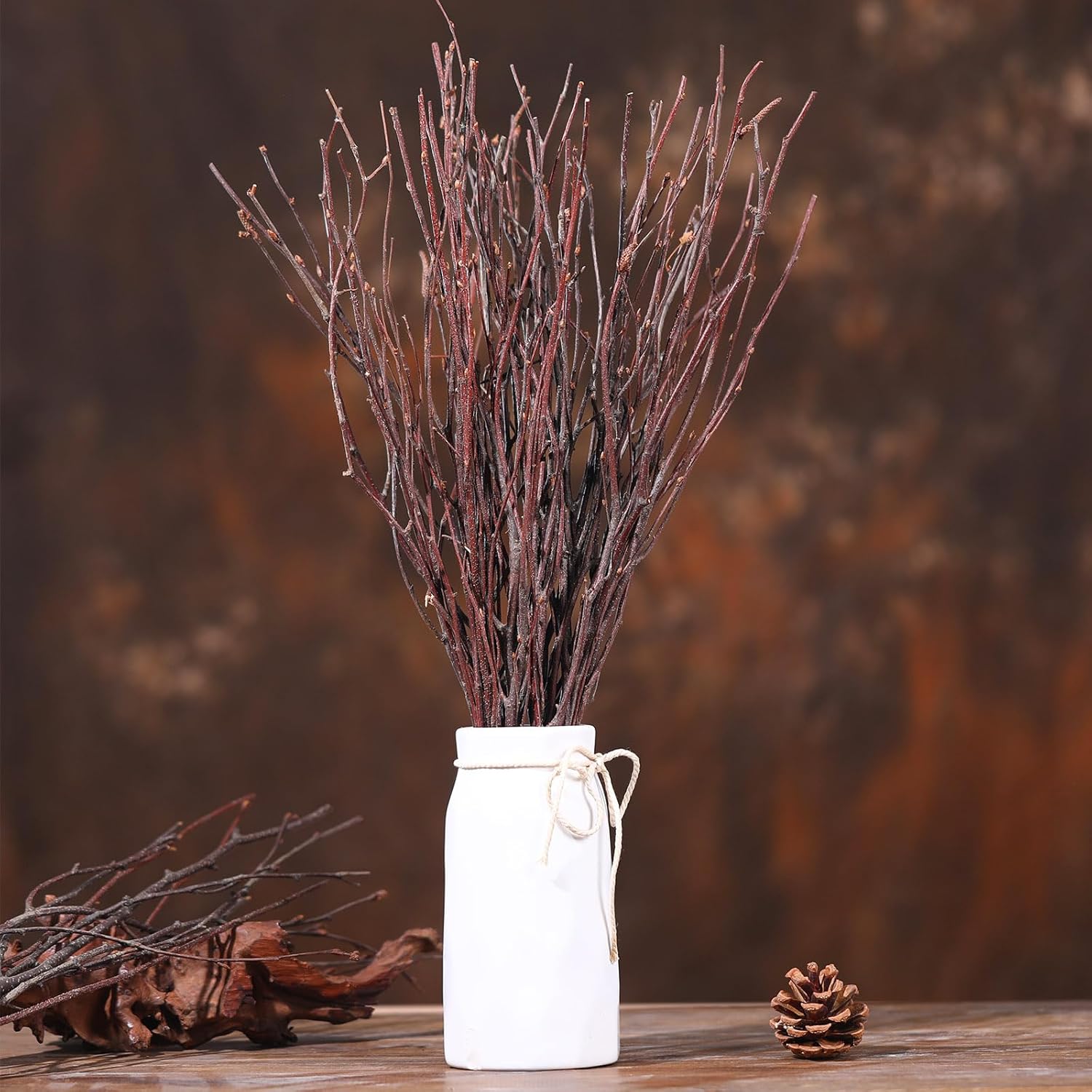 20Pcs Real Dried Birch Twigs - 17 Inch Natural Decorative Branches for Vase and DIY Crafts