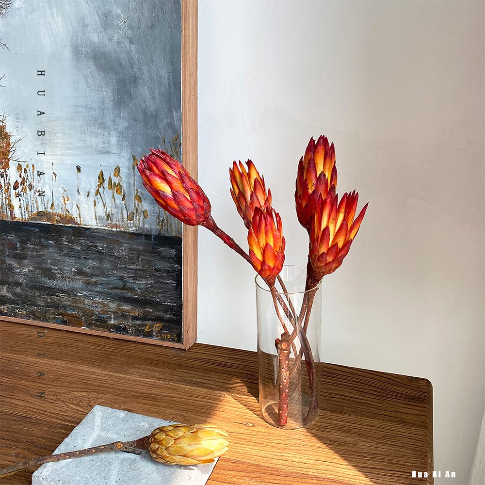 4PCS Dried Protea Flowers Natural Decor Vase Arrangement