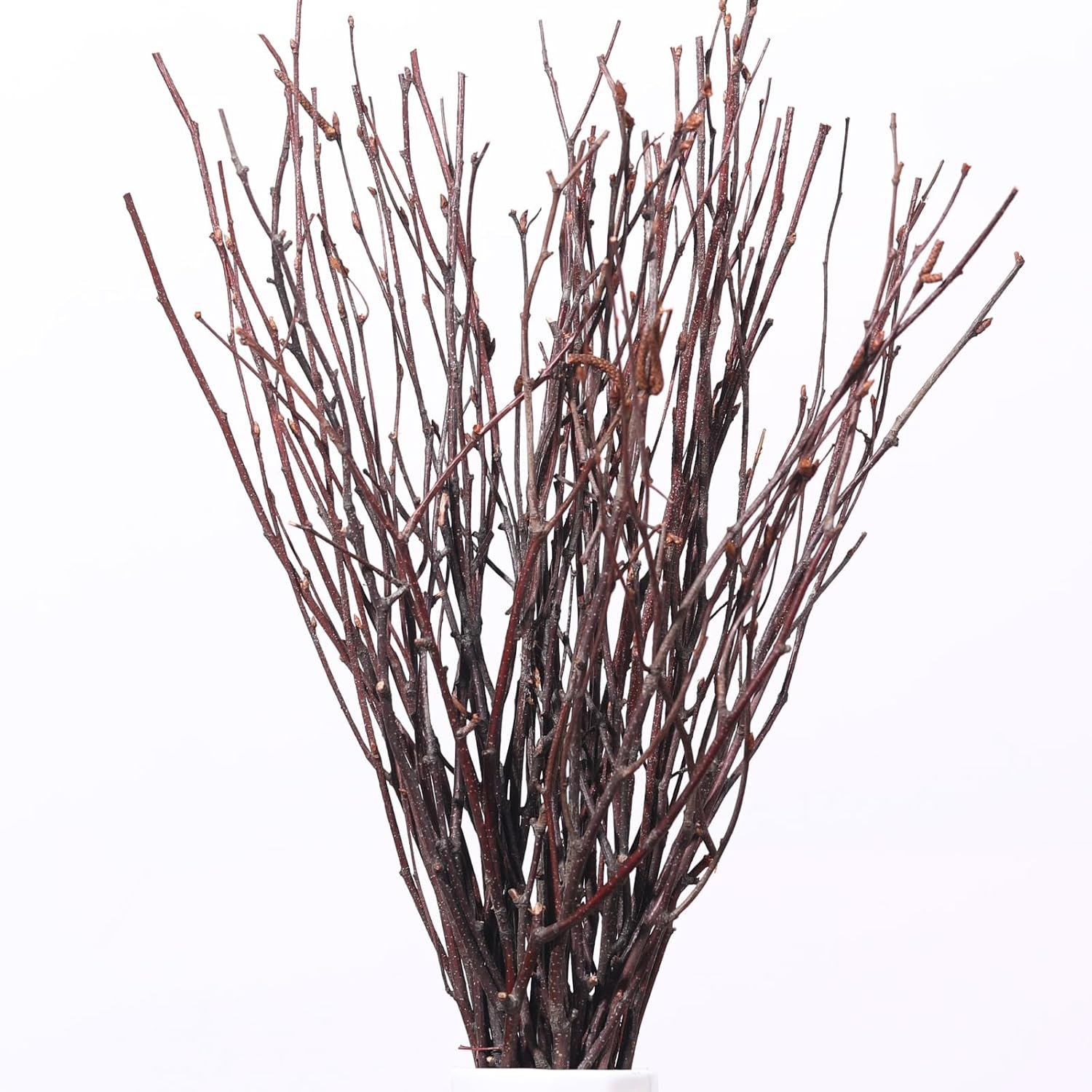20Pcs Real Dried Birch Twigs - 17 Inch Natural Decorative Branches for Vase and DIY Crafts