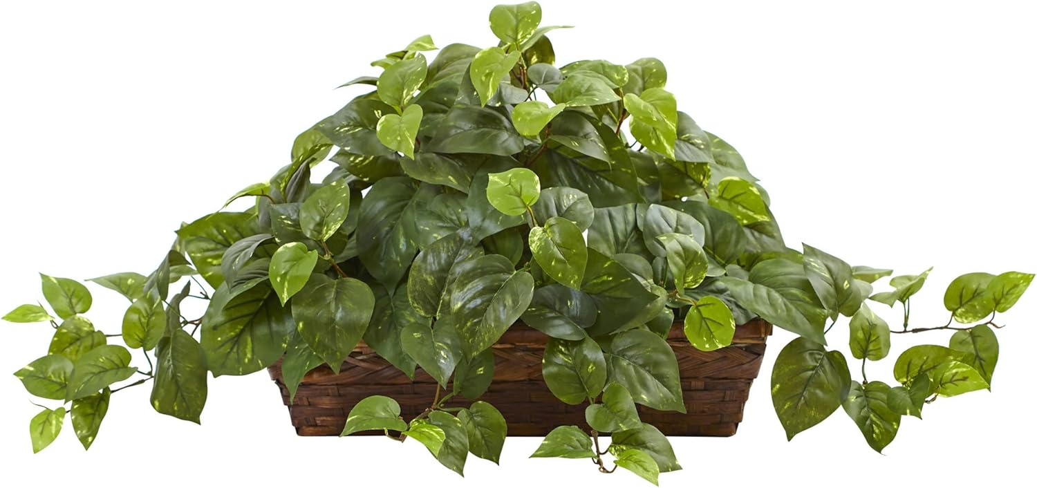 Nearly Natural Pothos Plant with Ledge Basket Green