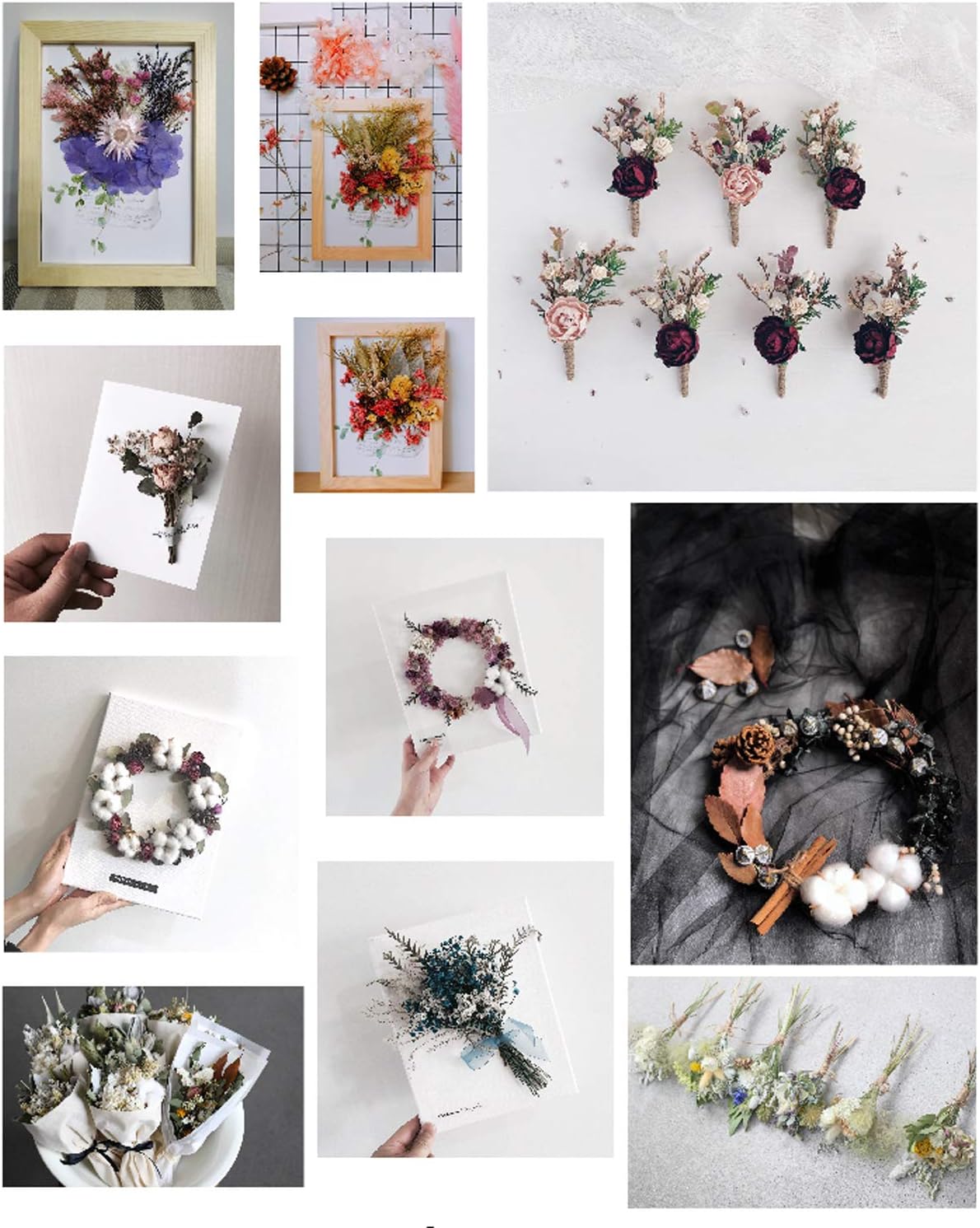 Sorrento Crafts Dried Flowers for DIY Decor Projects