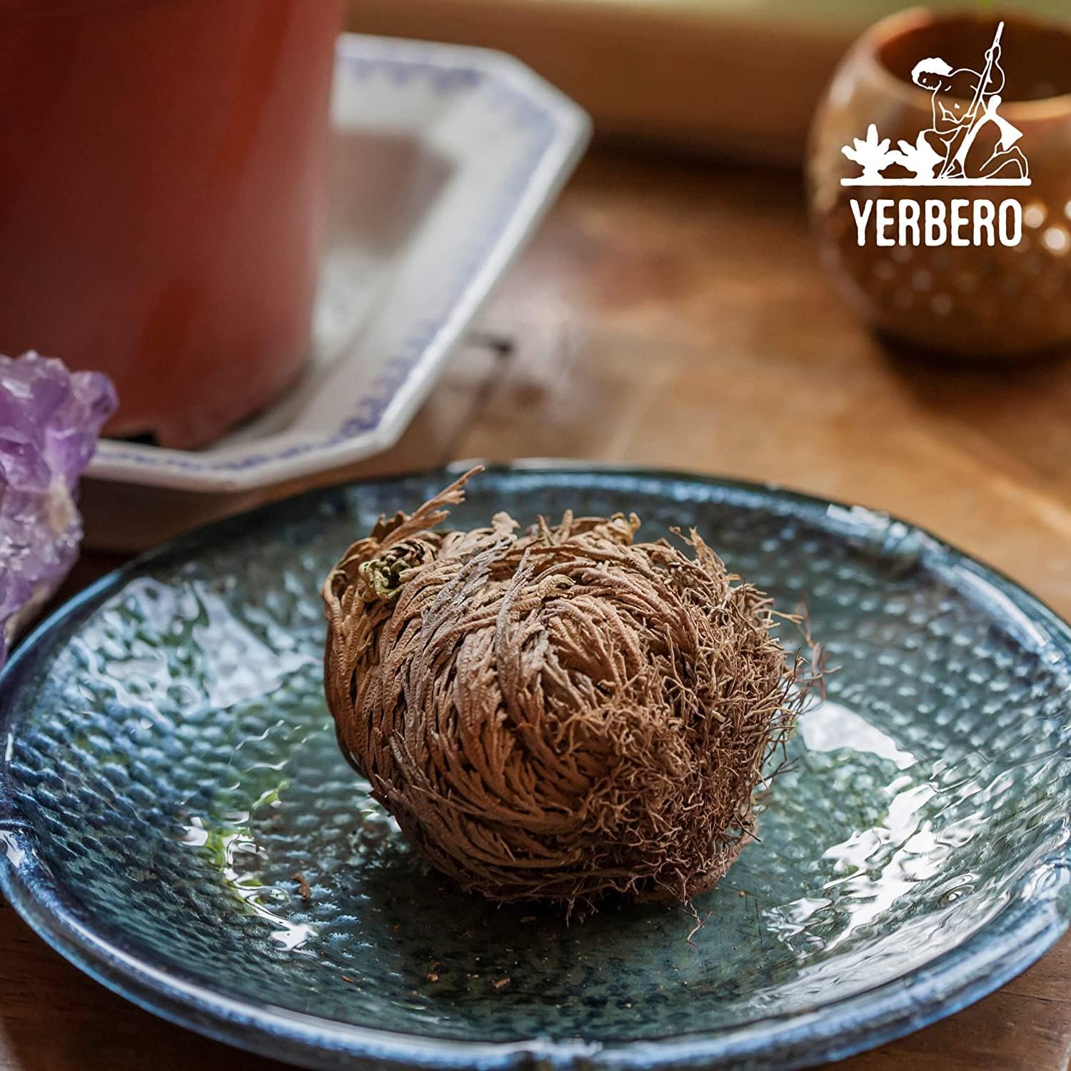 Yerbero 2 Pack Big Rose Jericho Dried Flowers