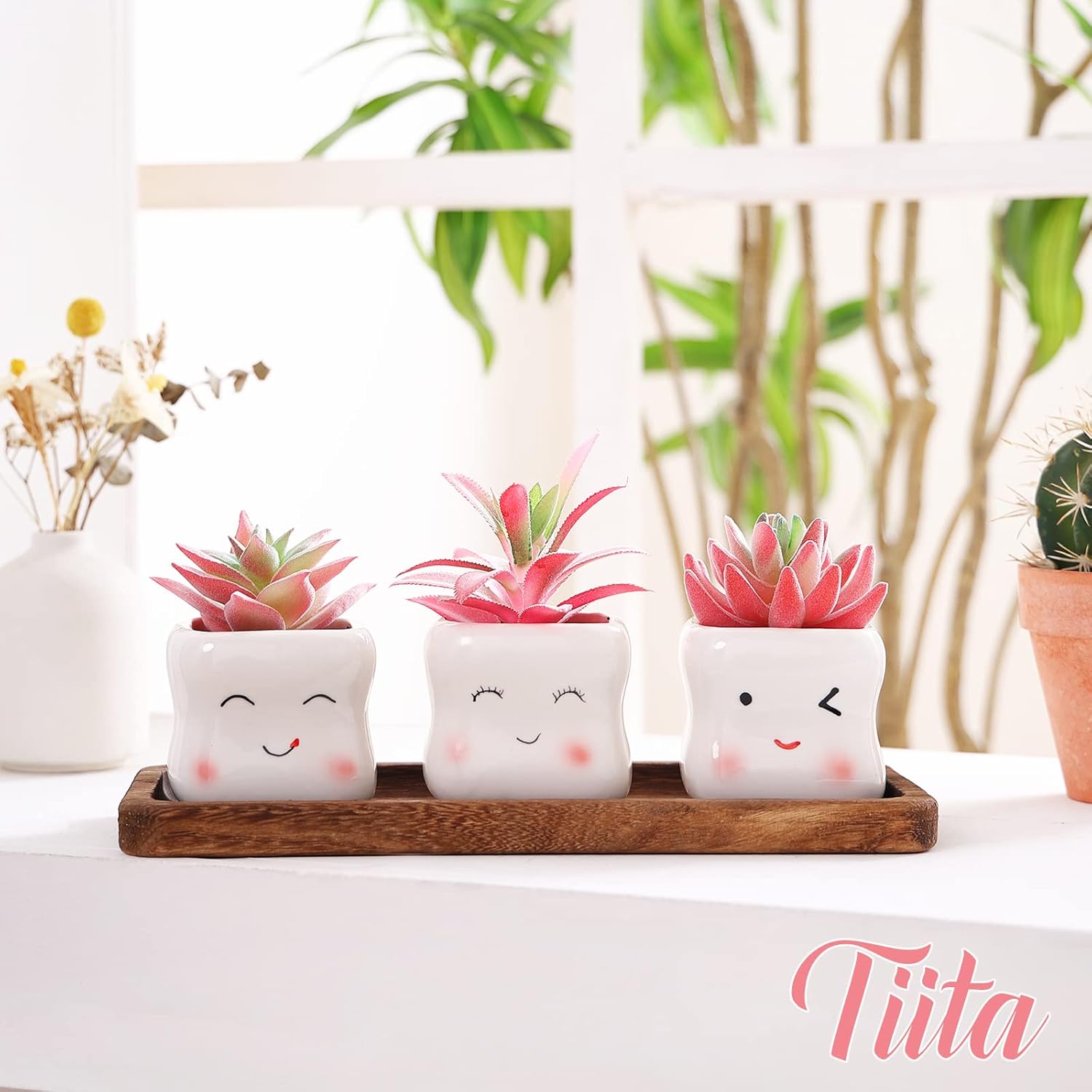 Tiita Cute Artificial Succulents in Ceramic Pots