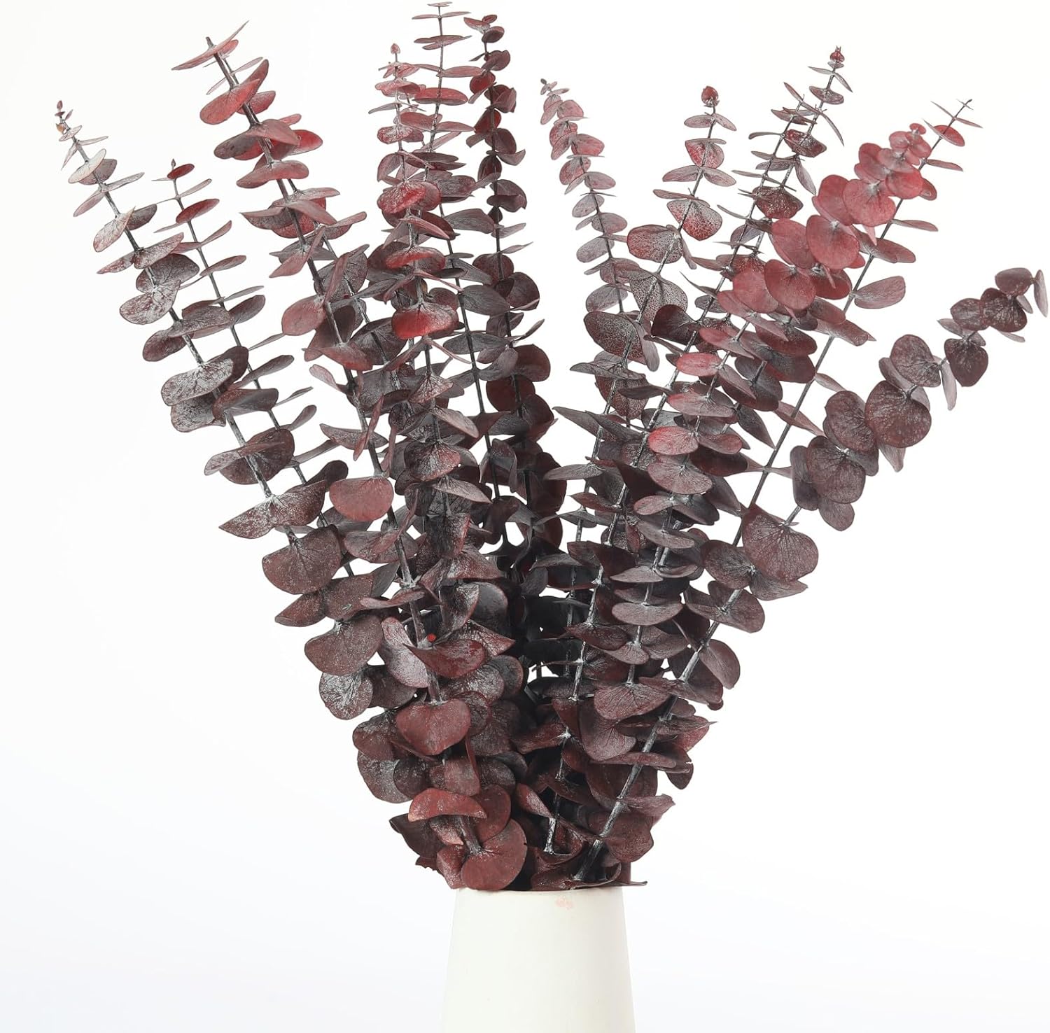 16 Pcs Preserved Eucalyptus Stems for Home Spa Decor