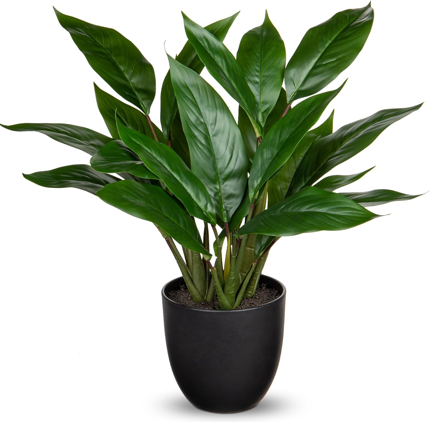 17 Inch Artificial Cast Iron Plant With Pot