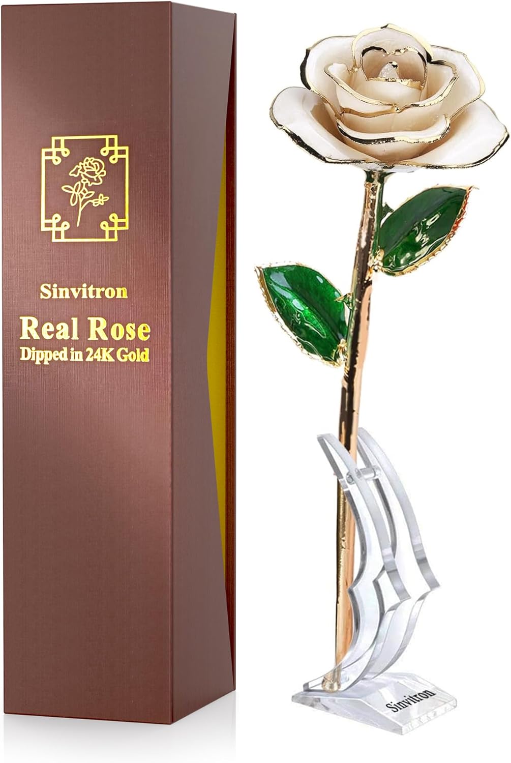 Sinvitron 24K Gold Dipped Infinity Rose Decor