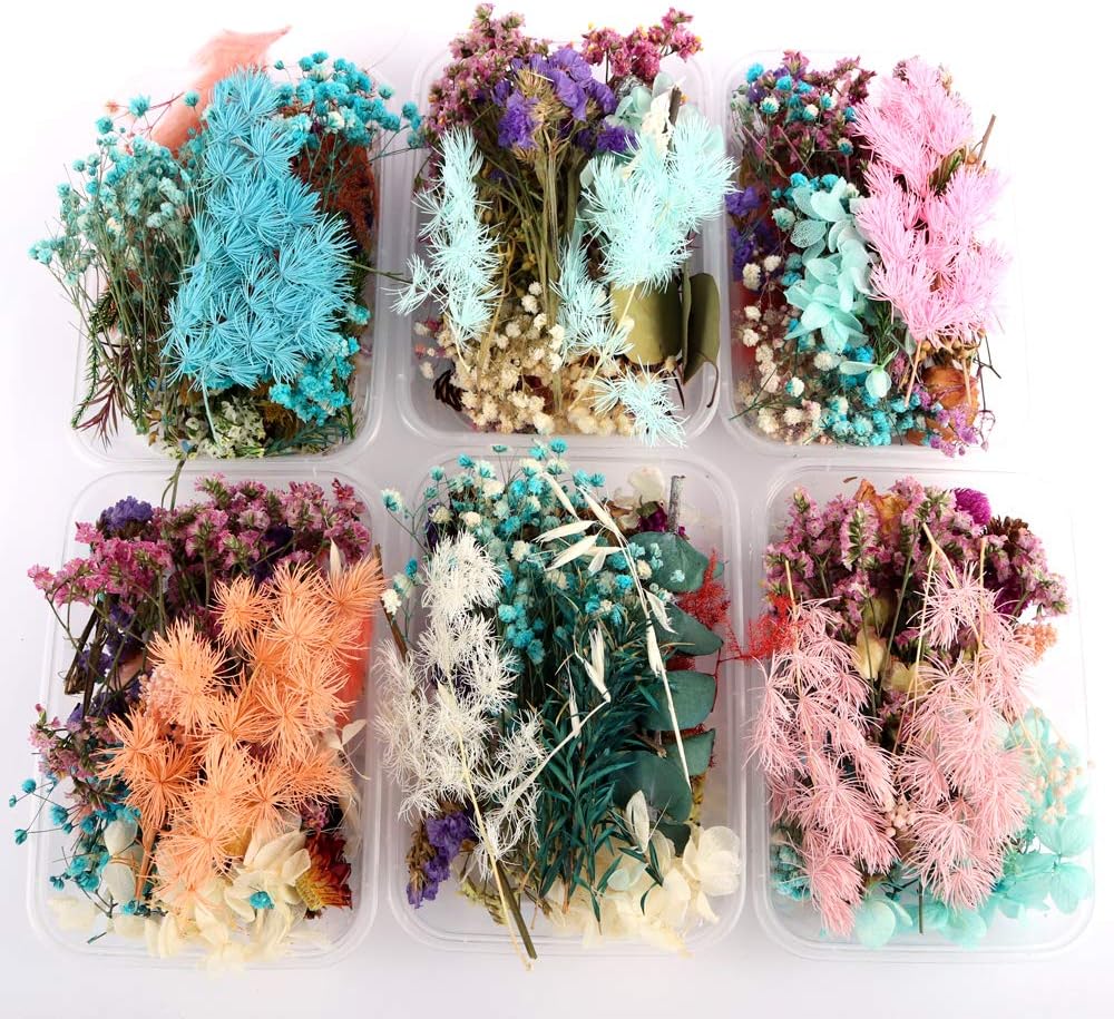 Sorrento Crafts Dried Flowers for DIY Decor Projects
