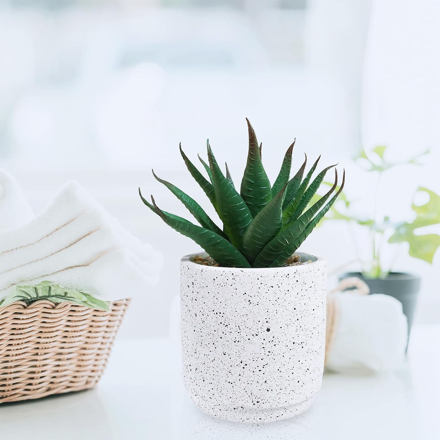 Winlyn Set of 3 Artificial Succulent Plants in White Cement Pots